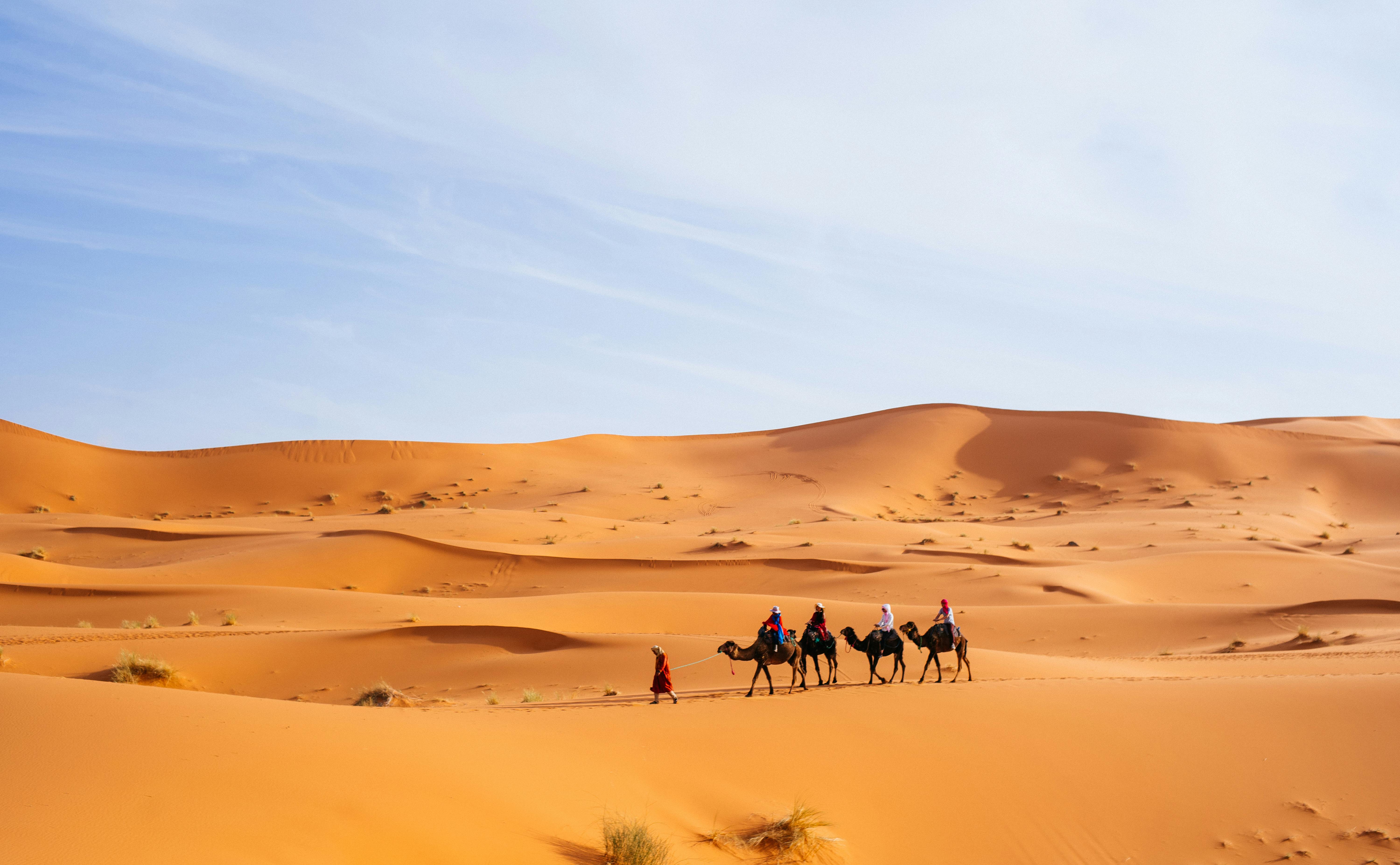 Tour 4 días Fez - Marrakech vía desierto