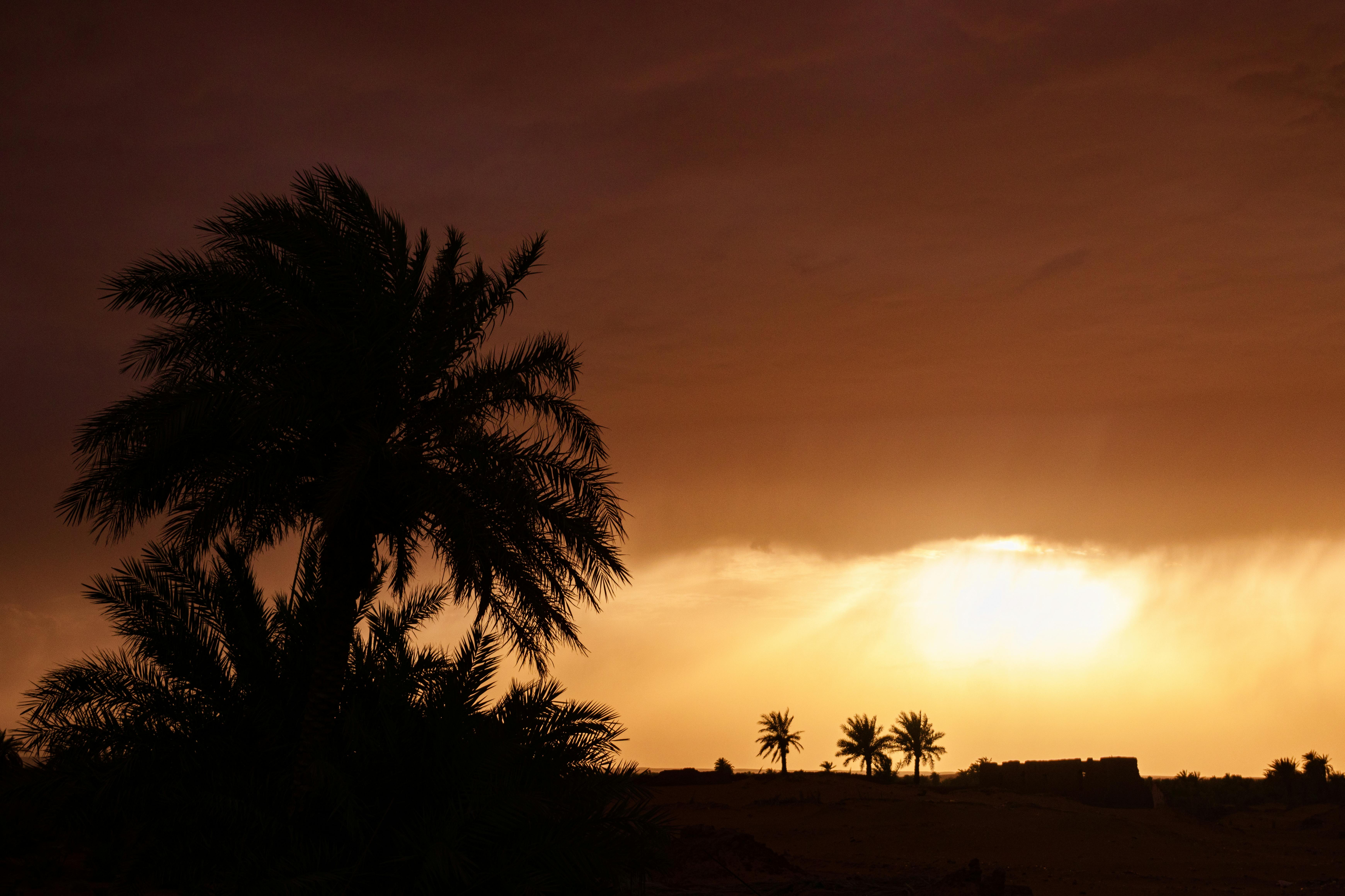 Tour 6 días Casablanca - Fez - Merzouga - Marrakech